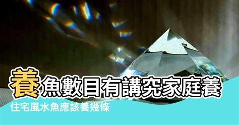 風水燈泡數目|【燈飾的數目風水】麥玲玲家居風水學 